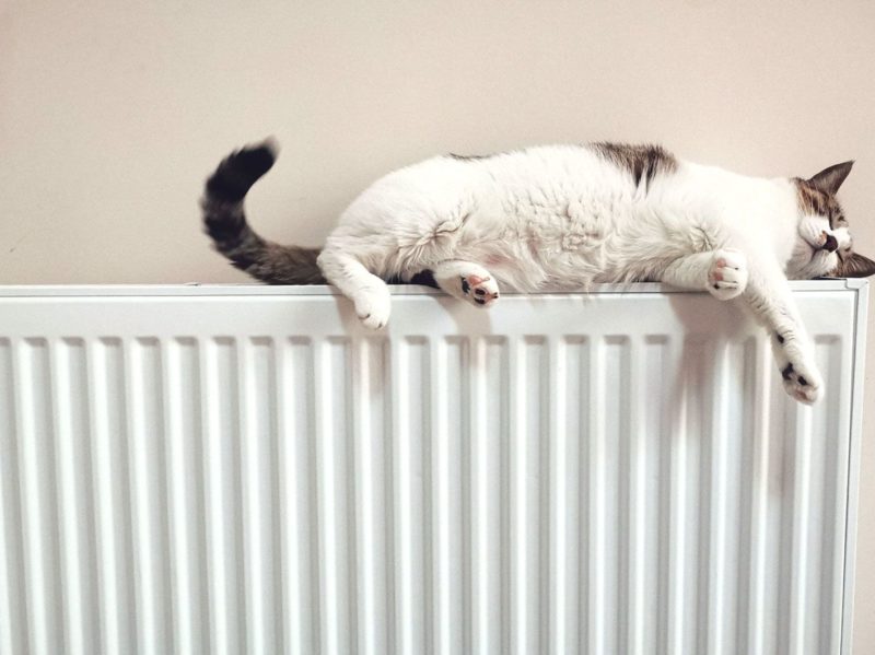 central-heating-content-image-800×599